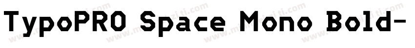 TypoPRO Space Mono Bold字体转换